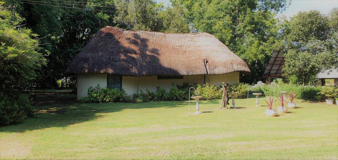 Drakensberg Bush Lodge And Backpackers Winterton Dış mekan fotoğraf